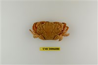 藏品(銅鑄熟若蟹)的圖片